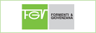 fgv logo
